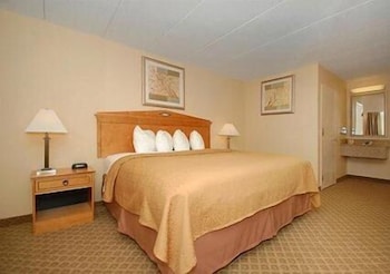 Standard Room, 1 King Bed, Non Smoking