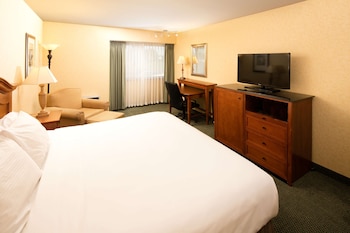 Room, 1 King Bed, Accessible