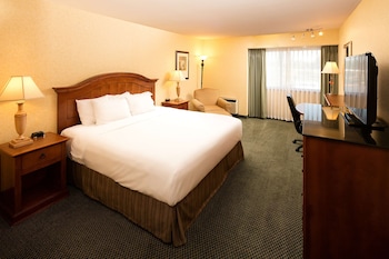 Room, 1 King Bed, Accessible