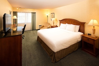Room, 1 King Bed, Accessible