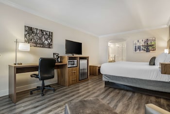 Standard Room, 1 King Bed, Non Smoking, Refrigerator & Microwave