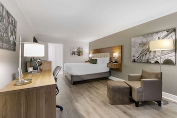 Standard Room, 1 King Bed, Accessible, Bathtub
