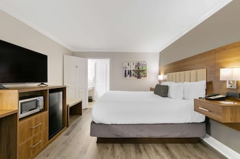 Standard Room, 1 King Bed, Accessible, Bathtub