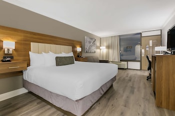 Standard Room, 1 King Bed, Non Smoking, Refrigerator & Microwave (with Sofabed)