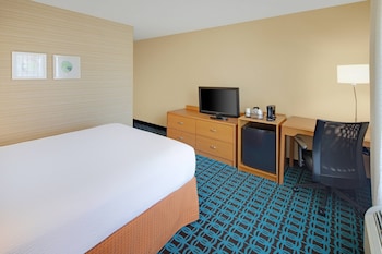 Room, 1 Queen Bed, Roll-in Shower