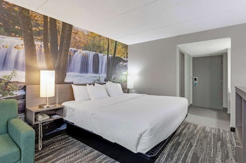 Suite, 1 King Bed, Non Smoking (Upgrade)