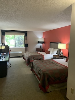 Double Room, 2 Double Beds