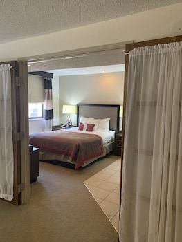 Suite, 1 Queen Bed