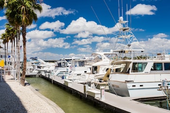 Suite, 1 Bedroom, Marina View