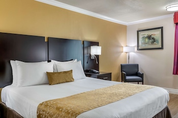 Standard Room, 1 King Bed, Accessible, Bathtub