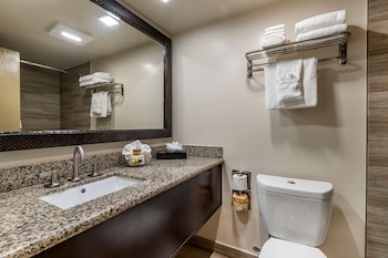 Studio Suite, 1 King Bed, Non Smoking, Refrigerator & Microwave