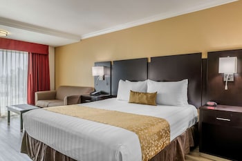 Studio Suite, 1 King Bed, Non Smoking, Refrigerator & Microwave