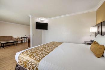 Studio Suite, 1 King Bed, Non Smoking