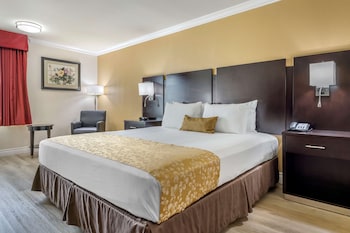 Standard Room, 1 King Bed, Accessible, Bathtub