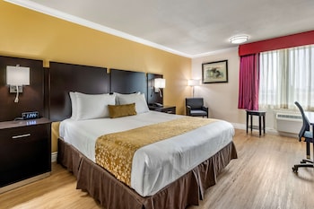 Standard Room, 1 King Bed, Non Smoking, Refrigerator