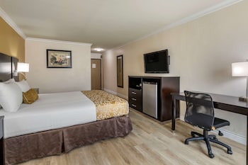 Standard Room, 1 King Bed, Accessible, Bathtub