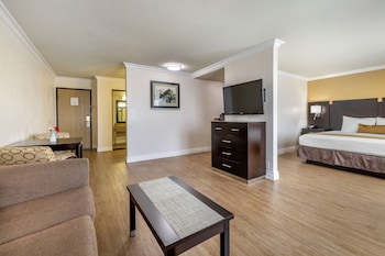 Studio Suite, 1 King Bed, Non Smoking