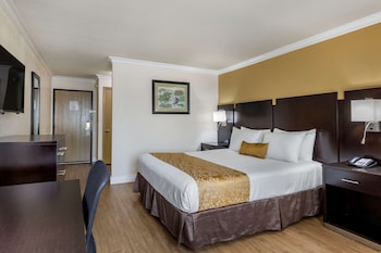 Standard Room, 1 King Bed, Non Smoking, Refrigerator