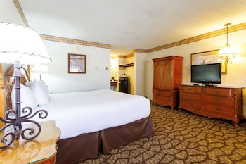 Premium Room, 1 King Bed, Non Smoking