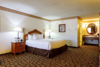 Premium Room, 1 King Bed, Non Smoking