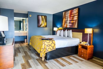 Room, 1 King Bed, Accessible, Non Smoking (Mobility Accessible)