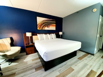 Room, 1 King Bed, Accessible, Non Smoking (Mobility Accessible)