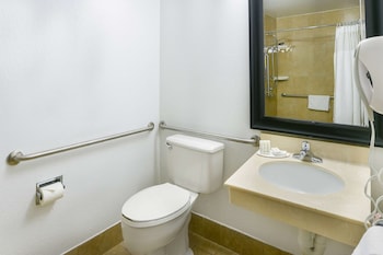 Standard Room, 1 King Bed, Accessible, Bathtub
