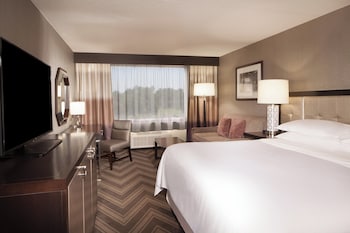 Room, 1 King Bed with Sofa bed