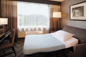 Room, 1 King Bed with Sofa bed