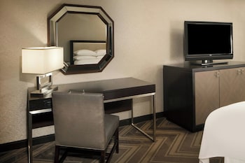 Room, 1 King Bed with Sofa bed