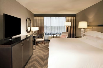 Room, 1 King Bed