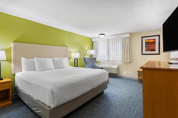 Standard Room, 1 King Bed, Non Smoking, Refrigerator & Microwave