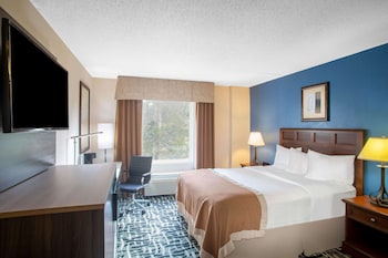 Room, 1 Queen Bed, Non Smoking, Refrigerator & Microwave