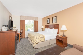 Room, 1 King Bed, Non Smoking