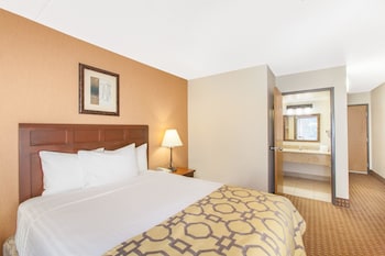 Room, 1 Queen Bed, Non Smoking, Refrigerator & Microwave