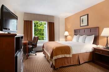 Room, 1 Queen Bed, Accessible, Refrigerator & Microwave (Non-Smoking)