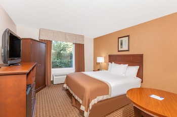 Room, 1 Queen Bed, Non Smoking, Refrigerator & Microwave