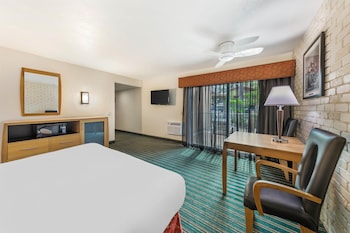 Standard Room, 1 King Bed, Patio, Pool View