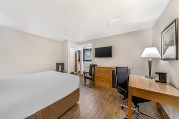 Standard Room, 1 Queen Bed, Non Smoking