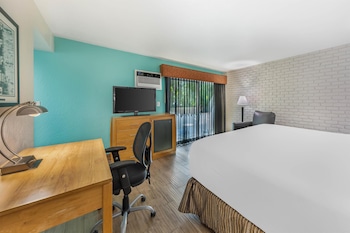 Standard Room, 1 King Bed, Non Smoking, Patio