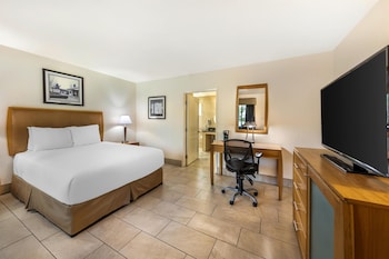 Standard Room, 1 Queen Bed, Accessible, Non Smoking