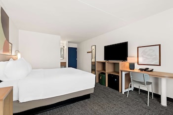 Room, 1 King Bed