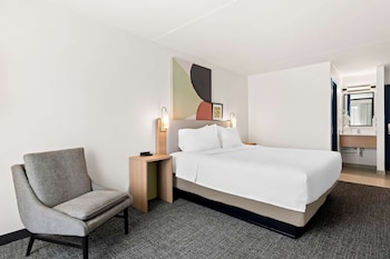 Room, 1 King Bed