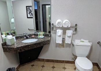 Suite, 1 King Bed, Non Smoking