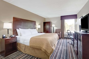 Room, 1 King Bed, Non Smoking