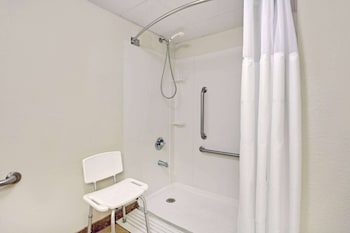 Room, 1 Double Bed, Accessible, Non Smoking (Roll-In Shower)