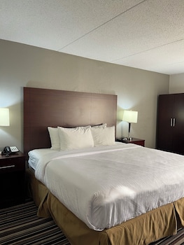 Room, 1 King Bed, Non Smoking