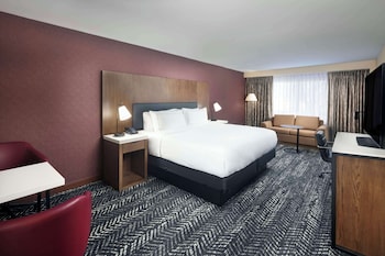 Room, 1 King Bed