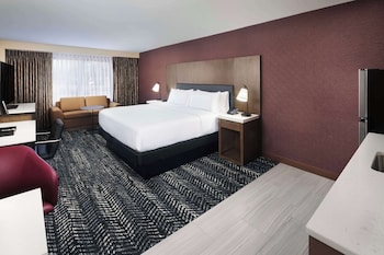 Suite, 1 King Bed