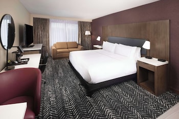 Room, 1 King Bed